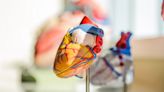 Machine Learning Reveals Sex Disparities in Heart Disease Diagnosis