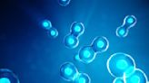 Scientists unveil stem cell research breakthrough