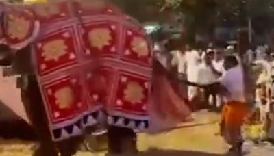 Elephant runs amok at Hindu religious festival, hurting 13 people
