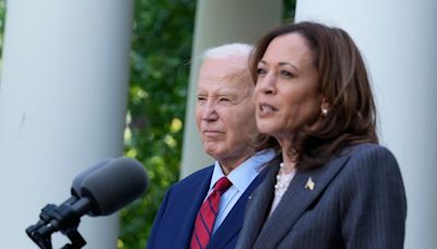 U.S. Democrats promise an 'orderly process' to replace Biden. Harris is favoured, but questions remain