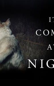 It Comes at Night