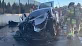 Sparky The Tesla Burns In California