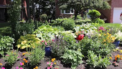 It's clean, green and beautiful time for North Bay