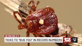 Don't bug out, watch out!: Record number of ticks expected this season