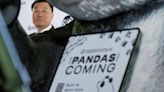 China to send two young giant pandas to Washington later this year