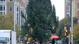 Here’s what happens to Fort Worth’s Christmas tree in Sundance Square after the holidays