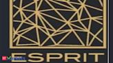 Esprit Stones IPO: Check issue size, price band, GMP and other details - The Economic Times