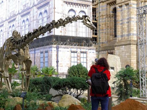 A look inside London Natural History Museum's newly revamped gardens