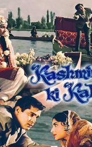 Kashmir Ki Kali