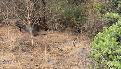 Localizan cadáver en cerro de Valle Dorado en Ensenada