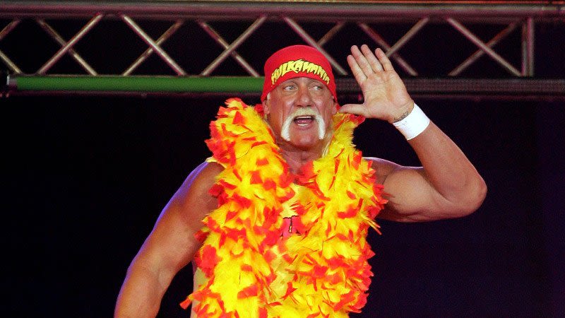 Hulk Hogan Stole The Idea Of Hulkamania From Austin Idol