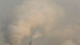US unveils policy to boost carbon offset market integrity By Reuters