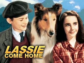 Torna a casa, Lassie!