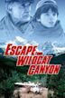 Escape From Wildcat Canyon