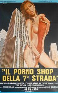 Il porno shop della settima strada