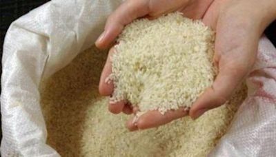 How India, Pakistan’s moves on rice exports led to drop in global prices