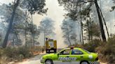 Por altas temperaturas, 16 incendios forestales activos en Veracruz