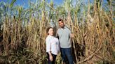 At this Louisiana Farm, Activism, Family, and Food Form the Sweetest Harvest