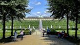 Germany’s Sanssouci Park seeks solutions as trees struggle with climate change