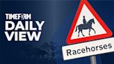 Timeform Daily View | Friday preview and tips