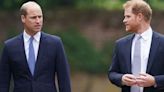 Harry's stern three-word comment to William that made brother 'furious'