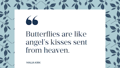 53 Butterfly Quotes That Prove Change Can Be Beautiful