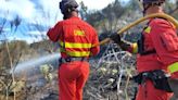 Diez mil incendios al año en España: el 95% los produce el ser humano y más de la mitad son intencionados