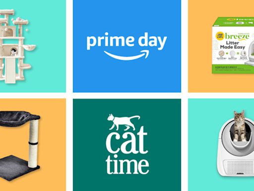 Amazon Prime Day 2024: Your Cat is Expecting the Goods and You Know It