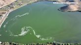 New tool for algal bloom mitigation is making breakthrough results in Utah, scientists say