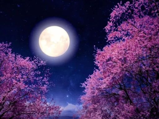 Cuándo es la luna llena de mayo del 2024 y por qué se llama Luna de Flores