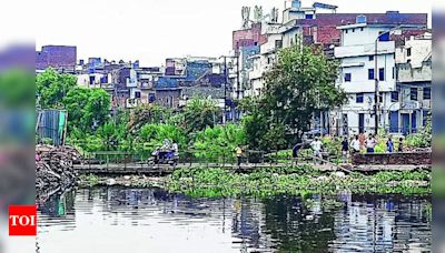 Drain Flooding Risk Due to Low Bridges Trapping Weeds and Flotsam | Ludhiana News - Times of India