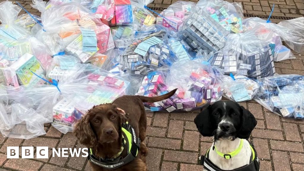 Oldham search dogs help sniff out £50k worth of illegal tobacco