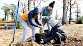 More than 300 fruit trees planted in Highland Park