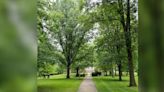 Wittenberg University now an arboretum with accredited tree collection