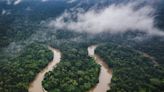 A 'lost valley of cities' built thousands of years ago has been found in the Amazon