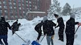 Cape Bretoners spend storm at workplaces to care for hotel guests, rescued animals