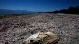 The Salton Sea is now smelly all year long and making people's asthma worse. The culprit? Bacteria