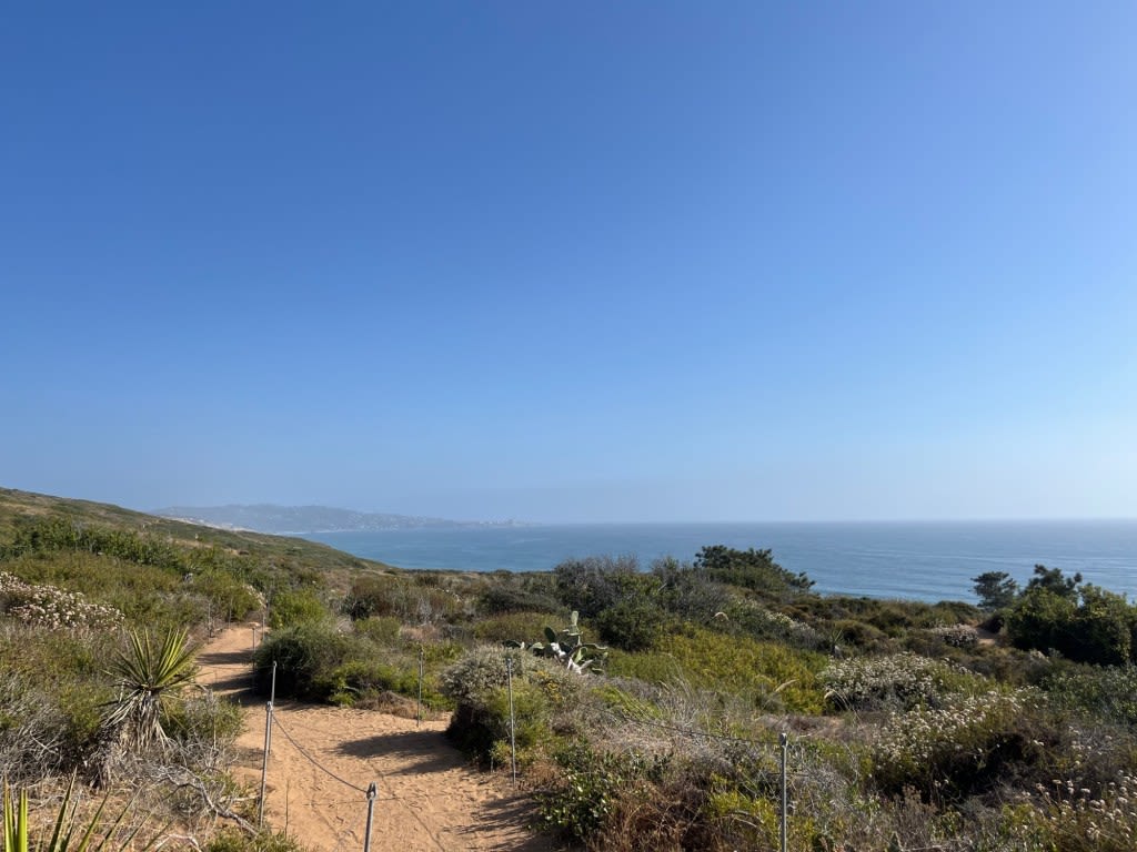 Hike of the week: A journey through Torrey Pines State Natural Reserve is the perfect kick-off to summer