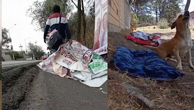 Joven convierte la basura electoral en camas para perros de la calle