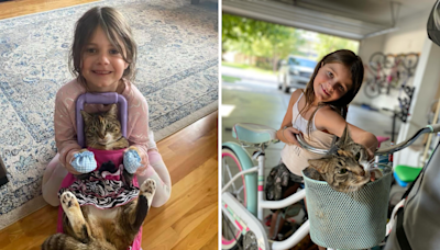 Cat living best life after being adopted by little girls who love dolls