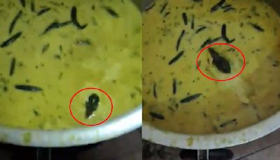 Hyderabad Viral Video: Students Find Rat In 'Chutney' At Jawaharlal Nehru Technological University Mess