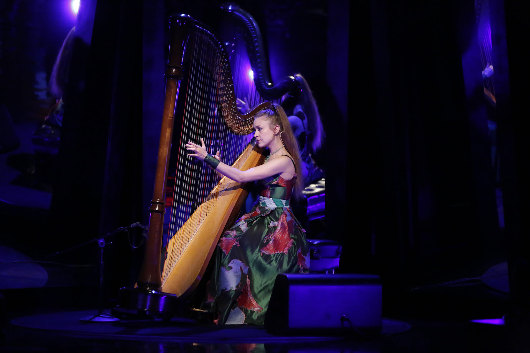 Joanna Newsom Pays Tribute to ‘Hilarious, Loving, Loyal Friend’ Steve Albini at Utah Fest