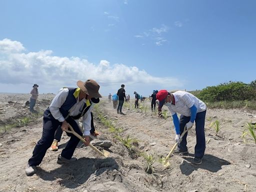 響應世界地球日 臺東環保局辦裸露地種樹活動