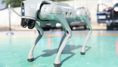 Zapopan cuenta con perros robot para reforzar seguridad
