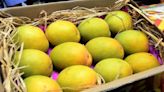 Bengaluru airport ships record 822 tonnes of mangoes to 60 international destinations