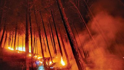 Forest fires resurface in the hills amid dry spell, soaring mercury