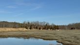 Hiking Connecticut's Trolley Trail offers views of the Thimble Islands