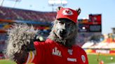 Chiefs superfan Xaviar Babudar, aka 'Chiefsaholic,' sentenced to 17.5 years in prison for bank robbery spree