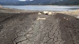 Informe revela mejora en panorama climático en Suramérica pero con sequía en algunas zonas