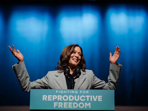 Fact Check: Video Showing Kamala Harris Saying 'Today Is Today and Yesterday Was Today Yesterday' Is a Fake